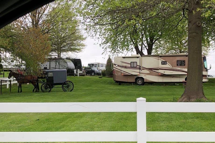 View near the entrance to Beacon Hill Camping.