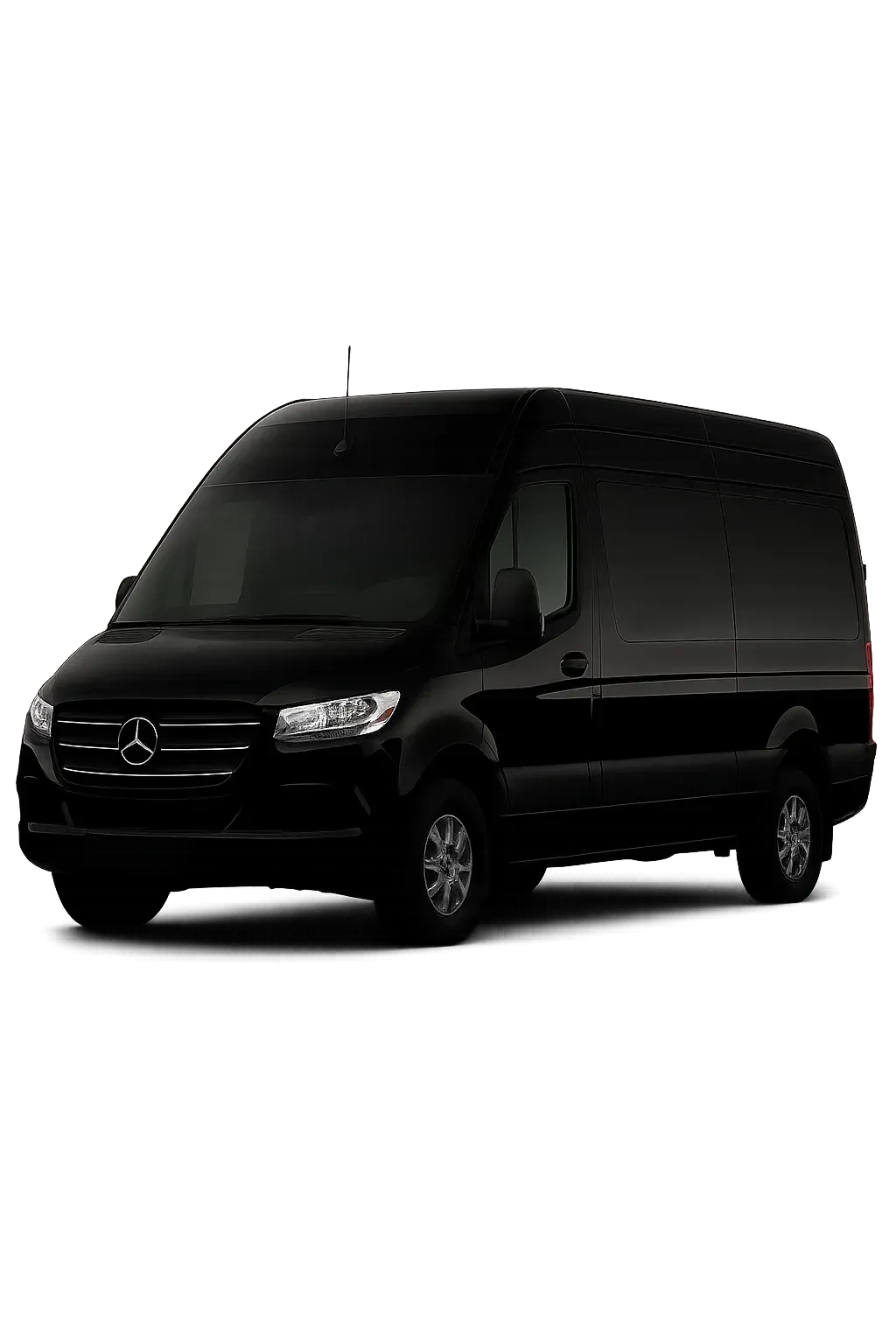 Black Mercedes-Benz Sprinter van, parked against a white background.