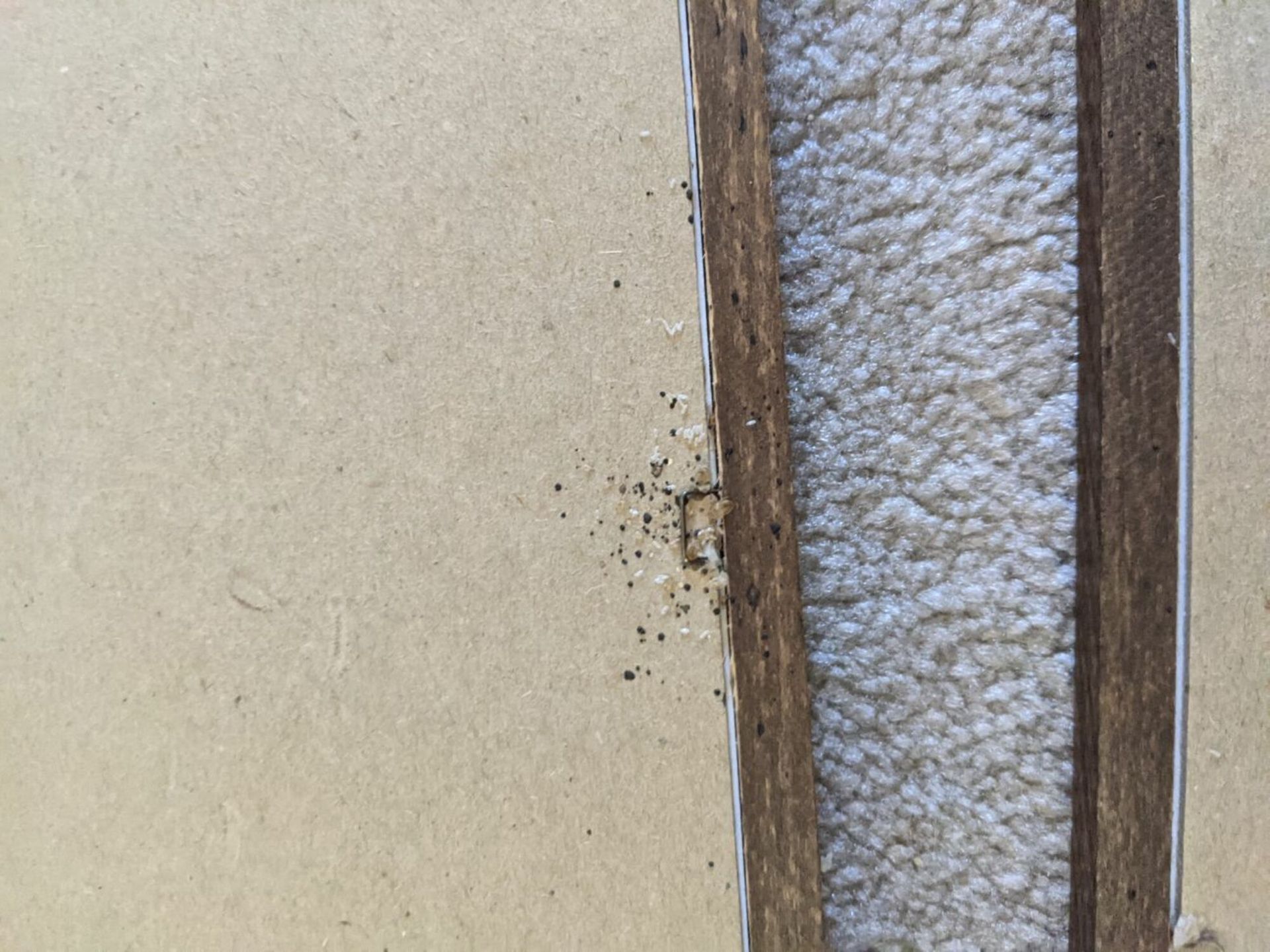 A close up of a piece of cardboard next to a piece of carpet.
