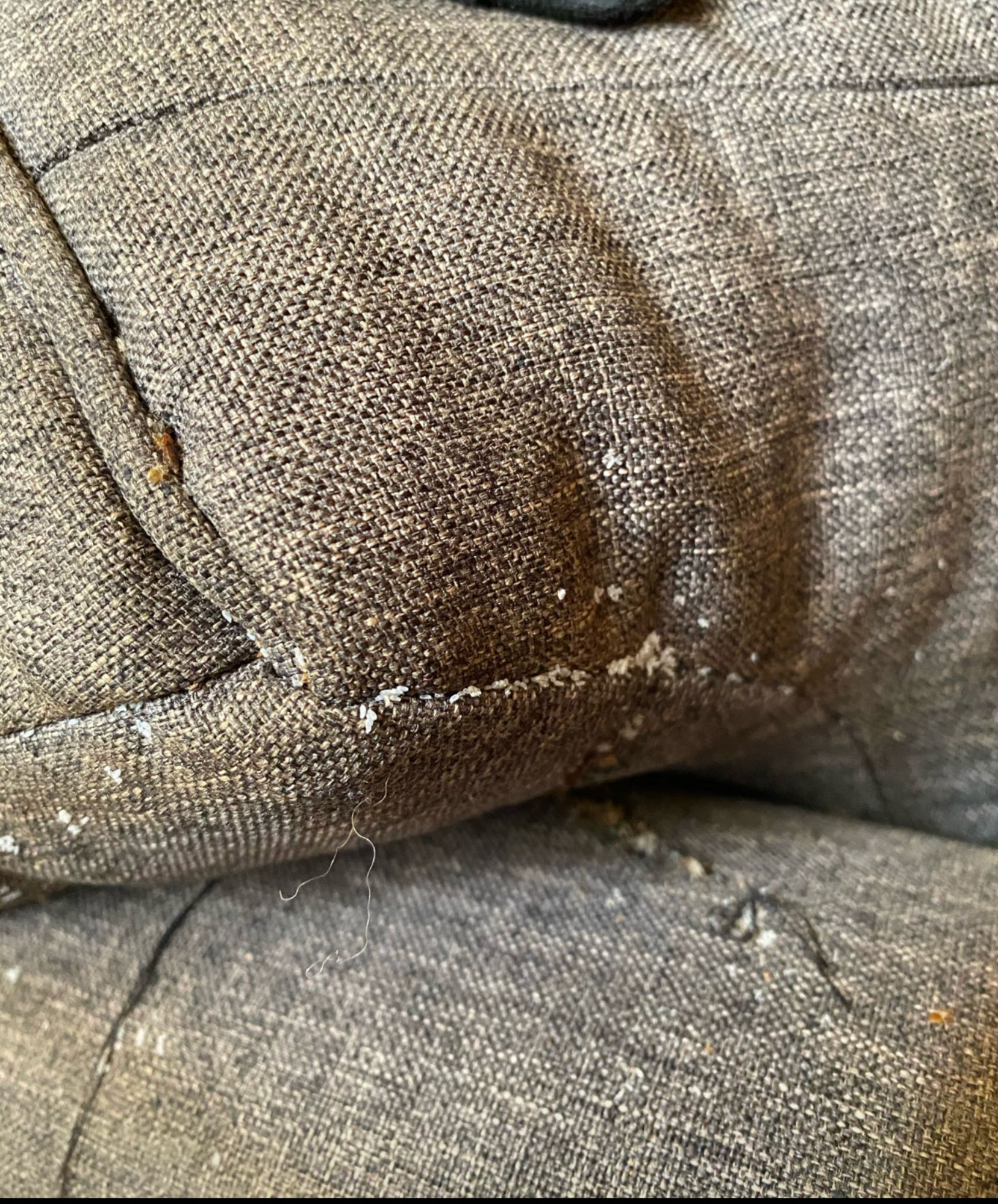 A close up of a couch with a stain on it.