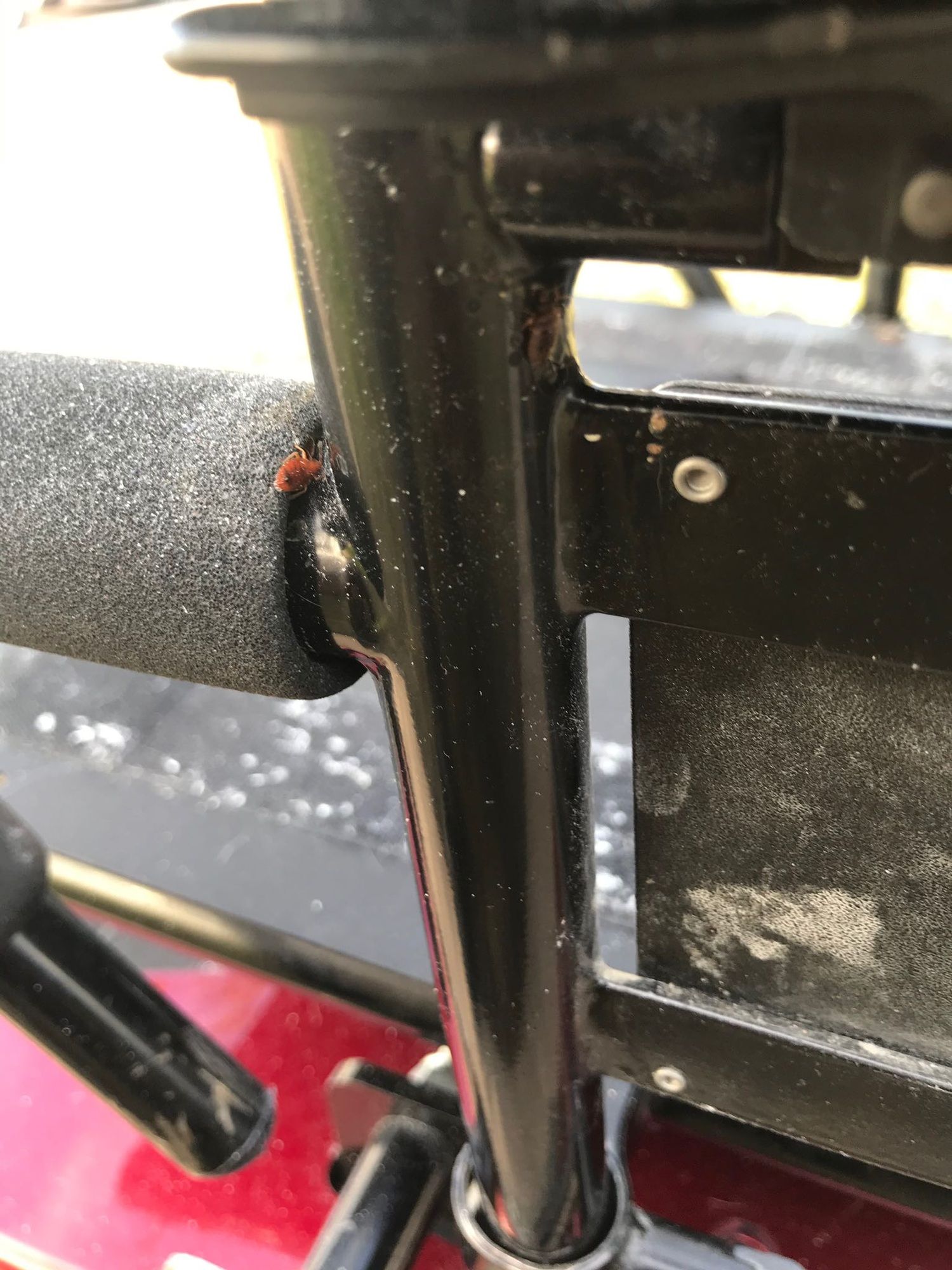 A close up of a motorcycle handlebar with a bug on it.