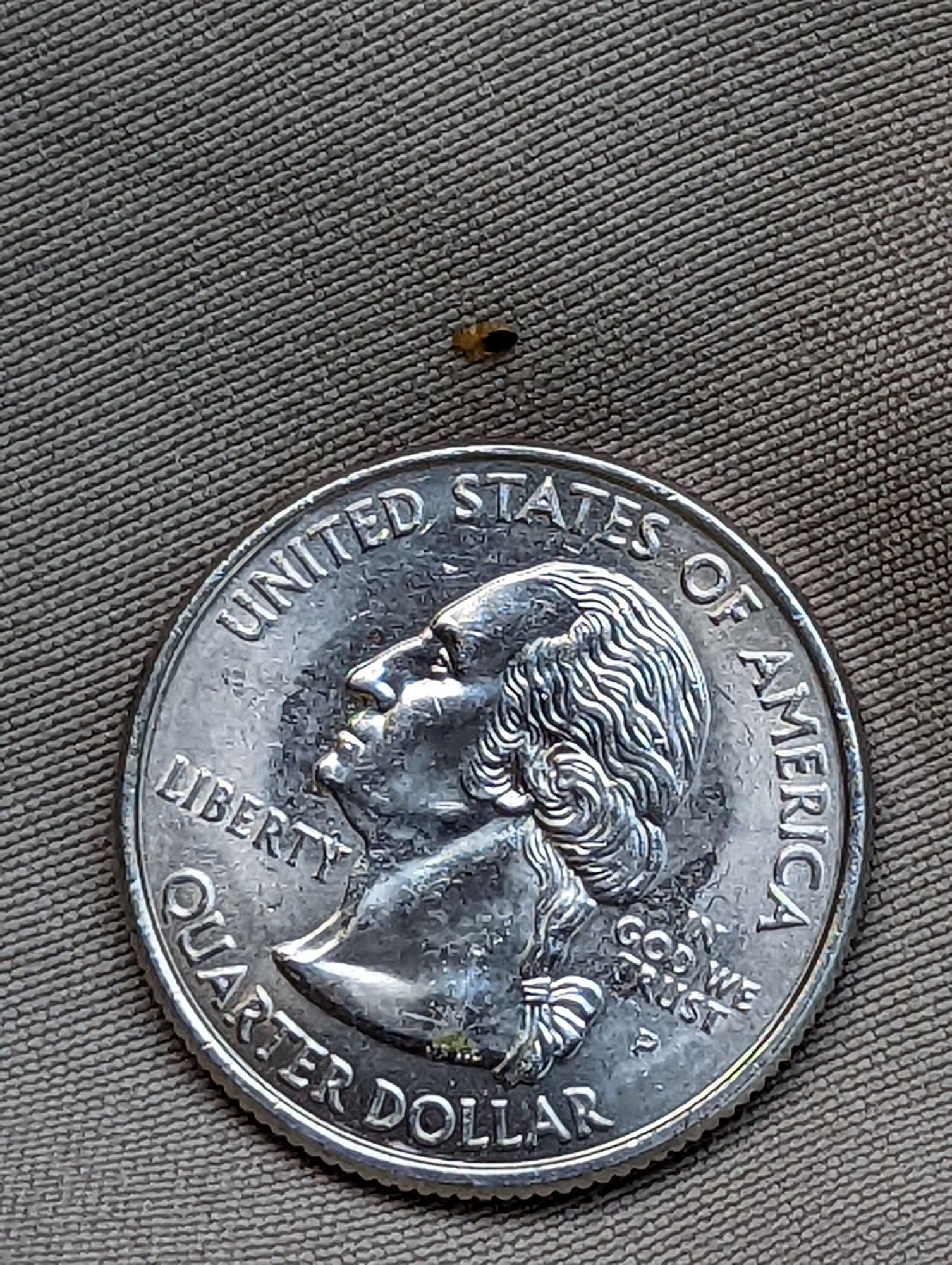 A quarter dollar coin from the united states of america.