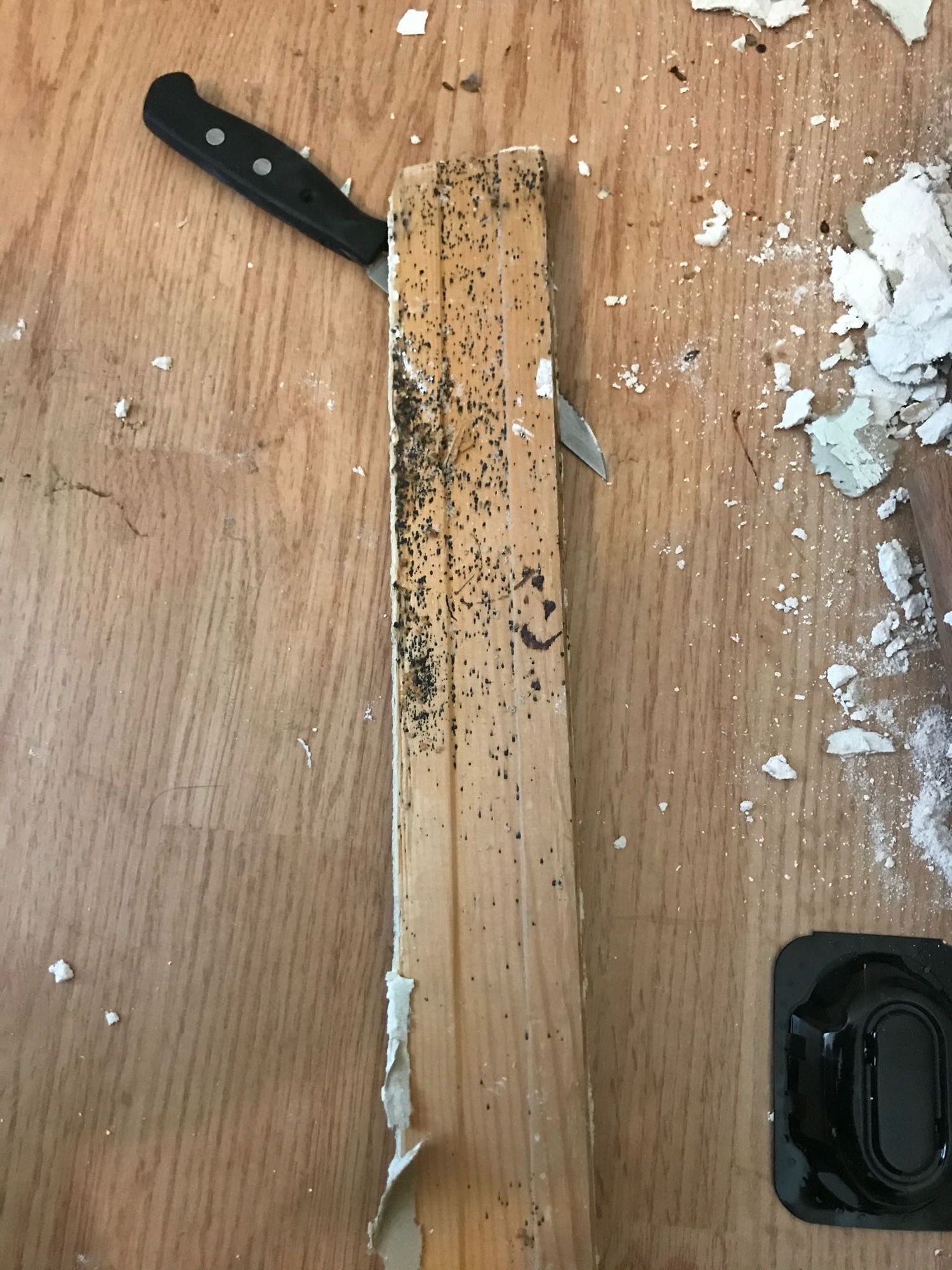 Wood infected by bugs.