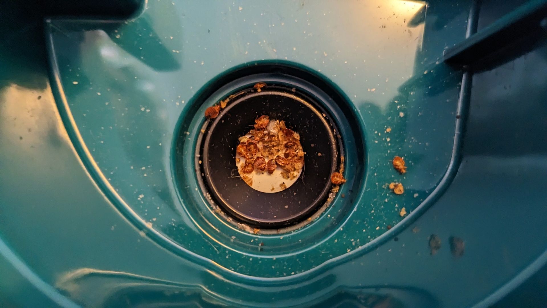 A close up of a dirty trash can with a hole in it.