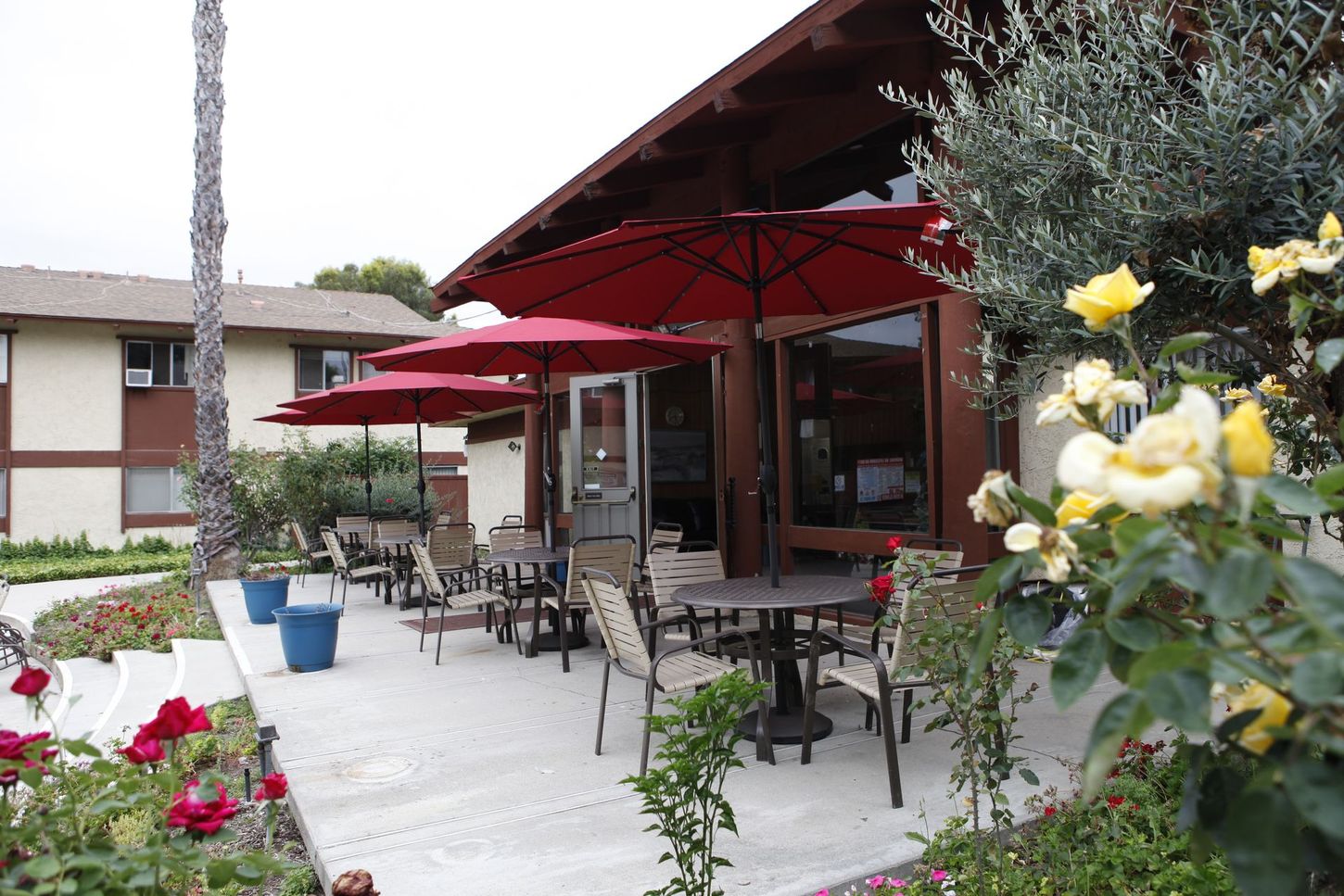 Outdoor cafe with red umbrellas, tables, and chairs. Building with large windows, surrounded by flowers.