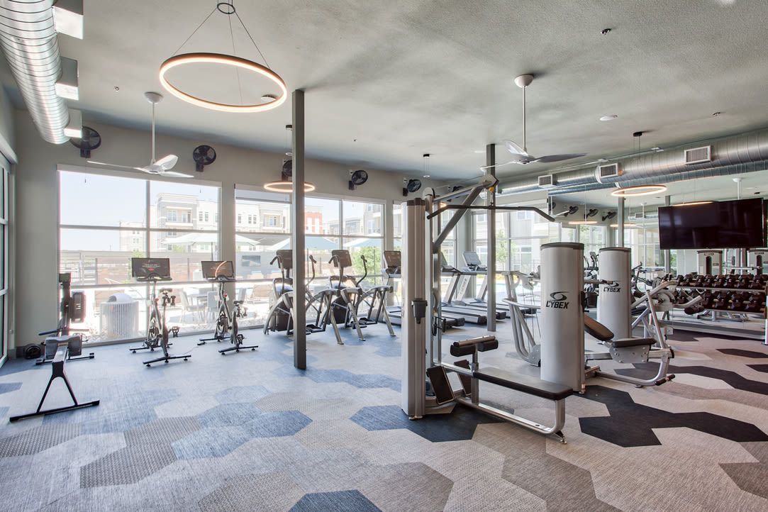 Bright communal gym with treadmills, stationary bikes, and weight machines by large windows