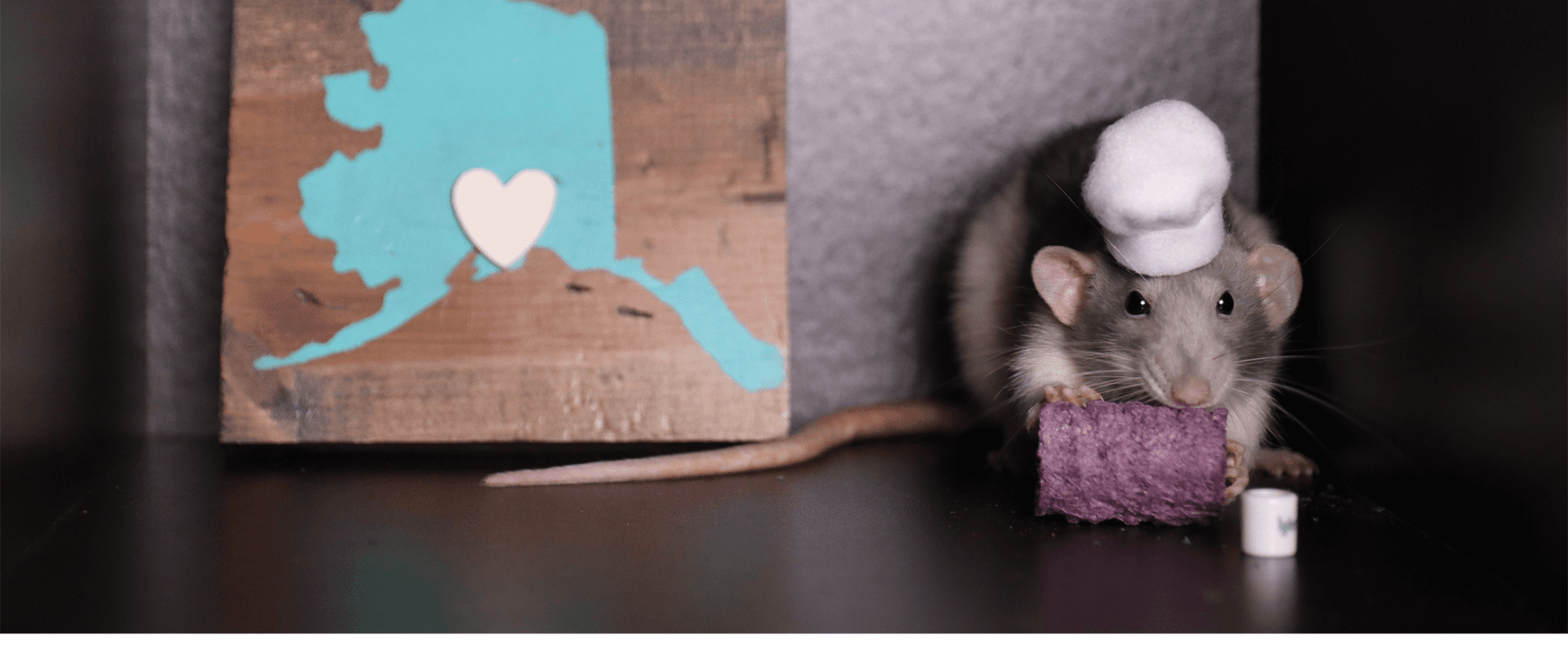 rat in a hat eating a treat