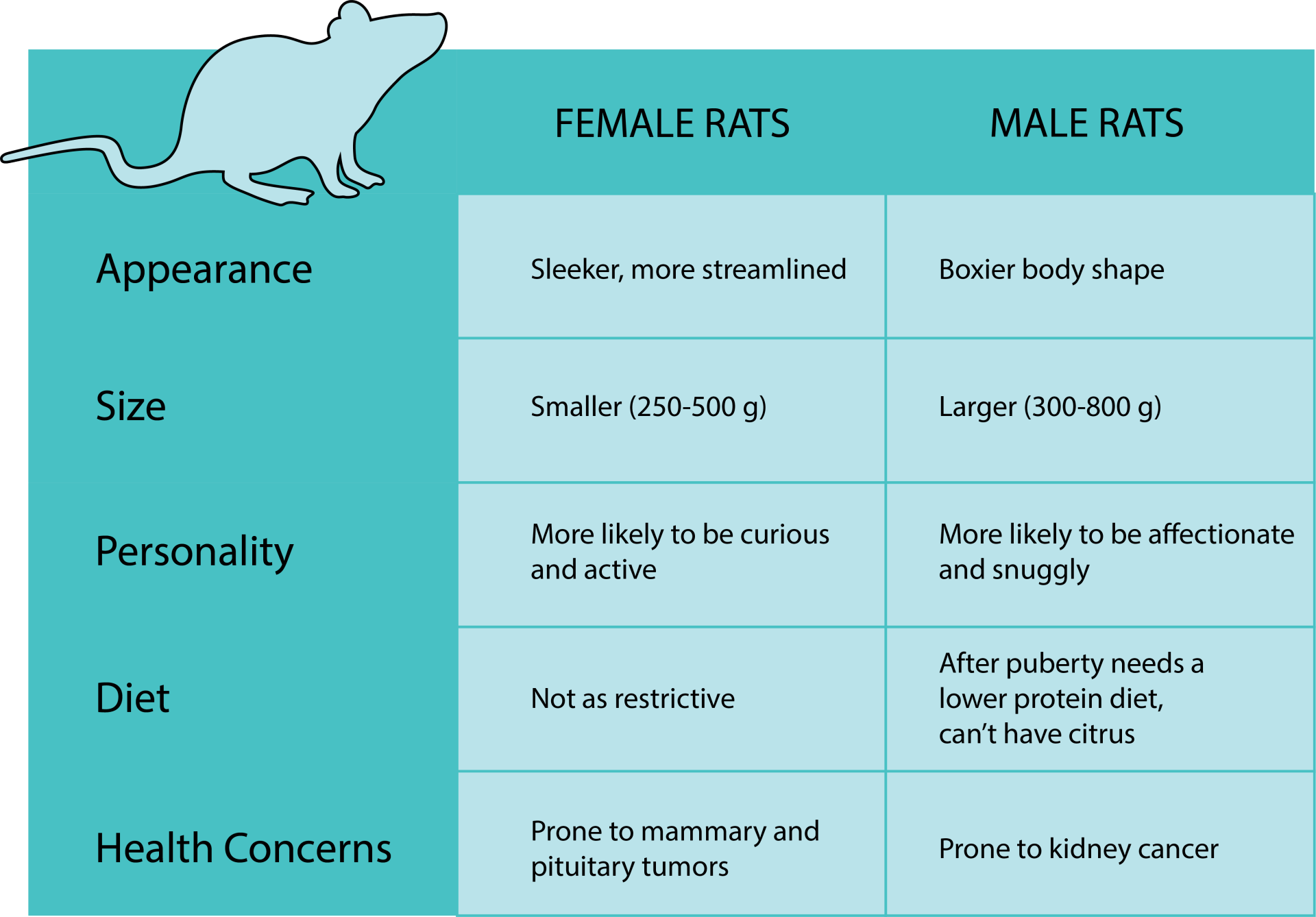 chart showing difference between male and female rats