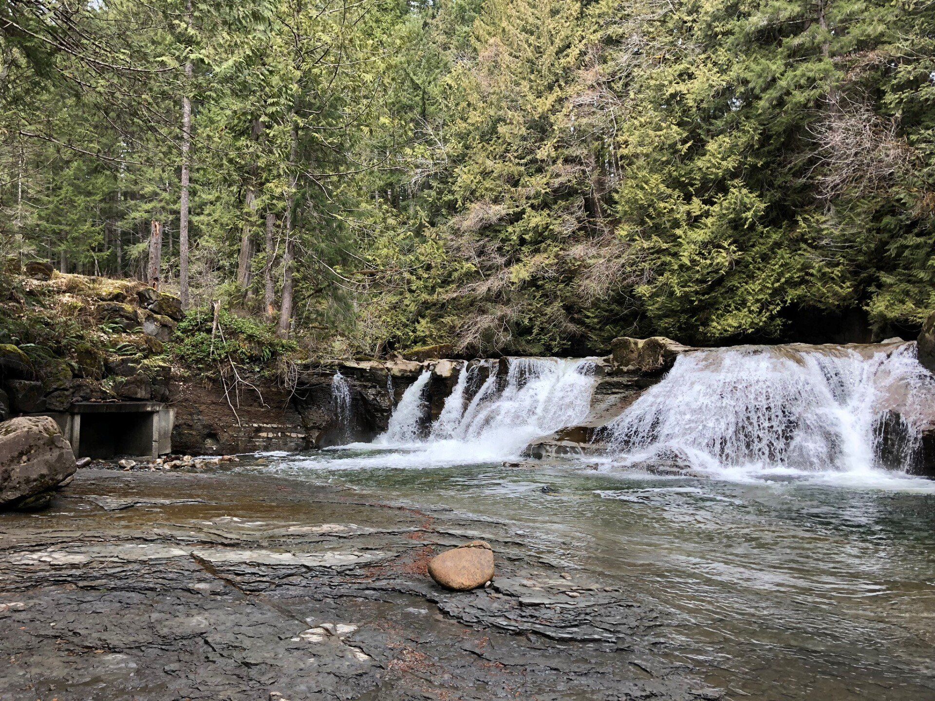 A waterfall is surrounded by trees and rocks in the middle of a river.