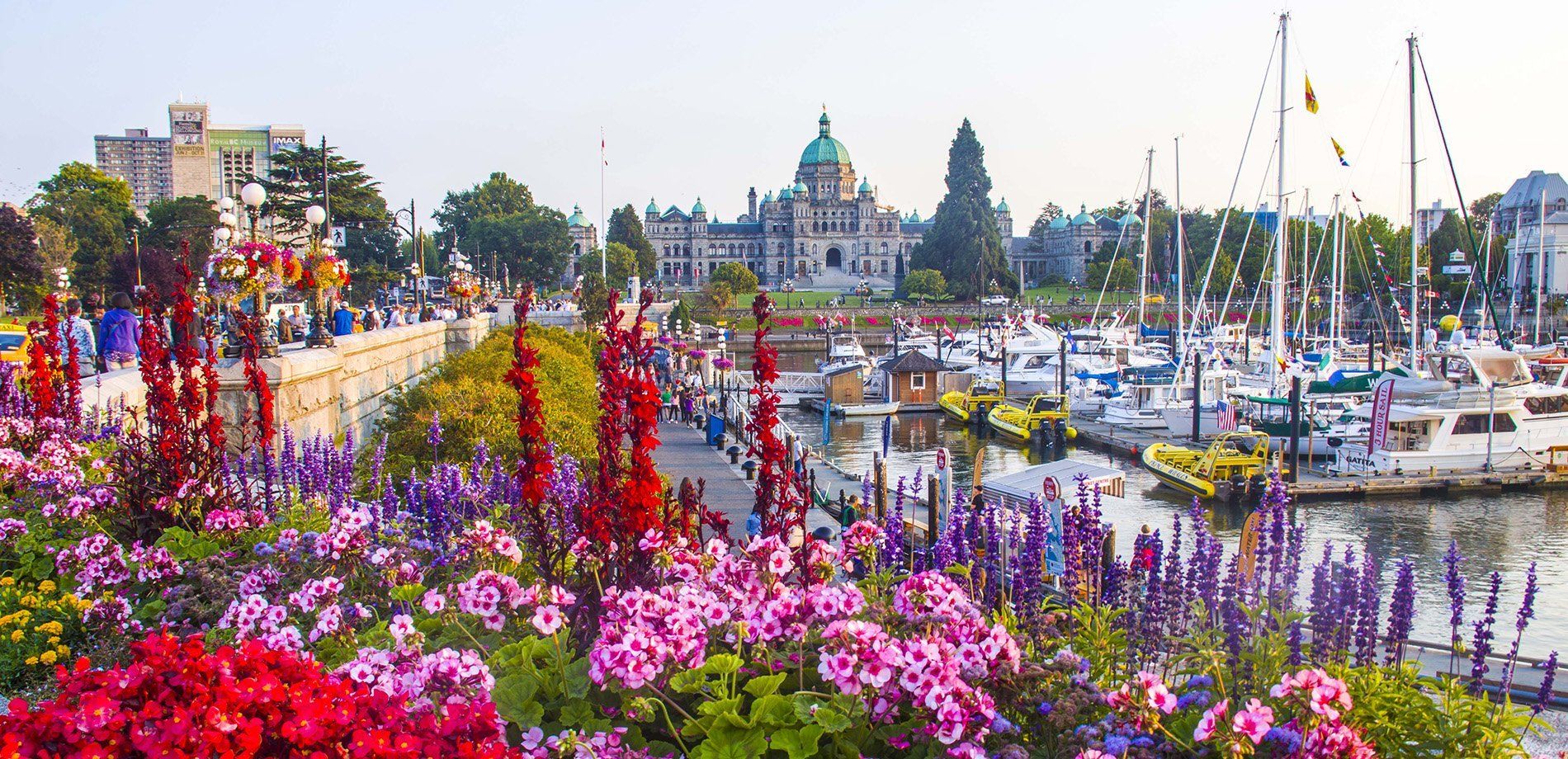 A bunch of boats are docked in a harbor with flowers in the foreground.