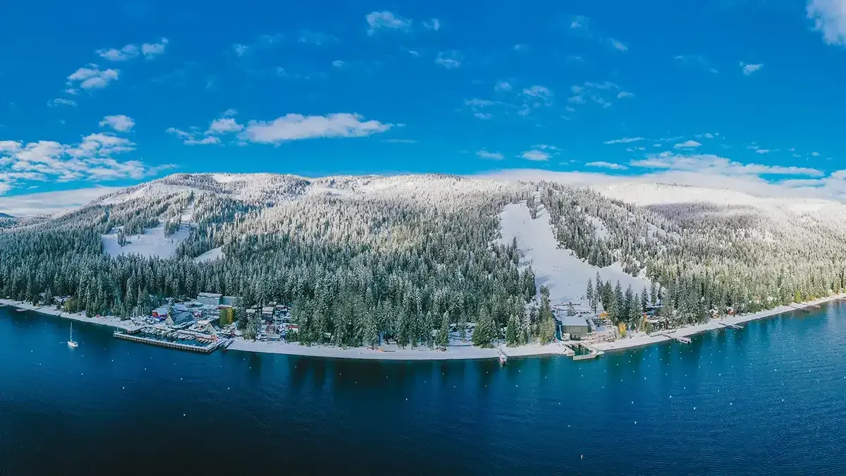 An aerial view of a deep blue lake meeting a snow-covered, pine-forested coastline under a clear, bright blue sky.