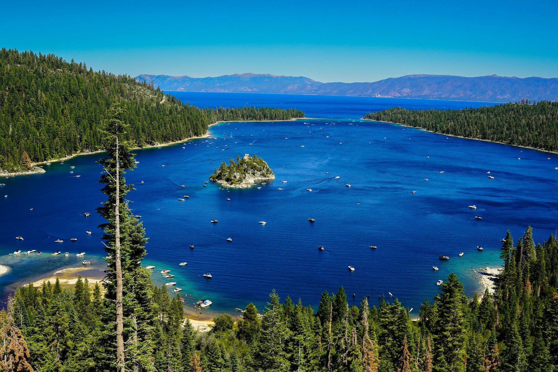 Emerald Bay at Lake Tahoe featuring a small island, deep blue water, surrounded by dense pine forests under a clear sky.