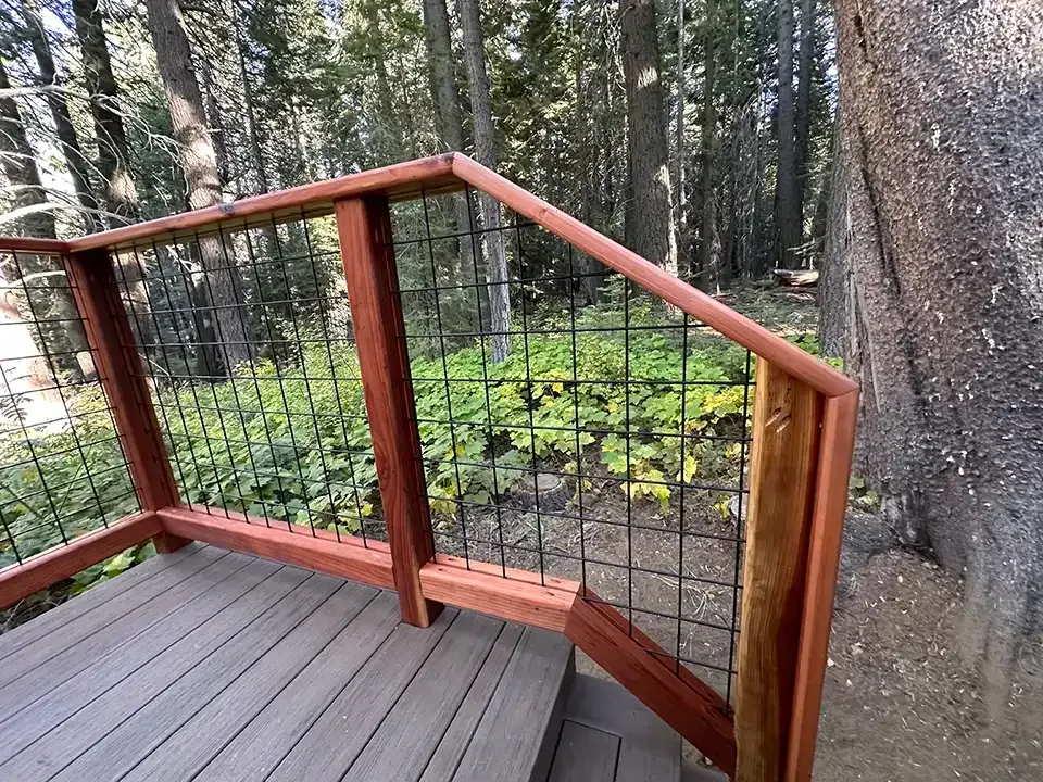 A wooden deck railing with a wire grid panel overlooks a forest floor with green vegetation.