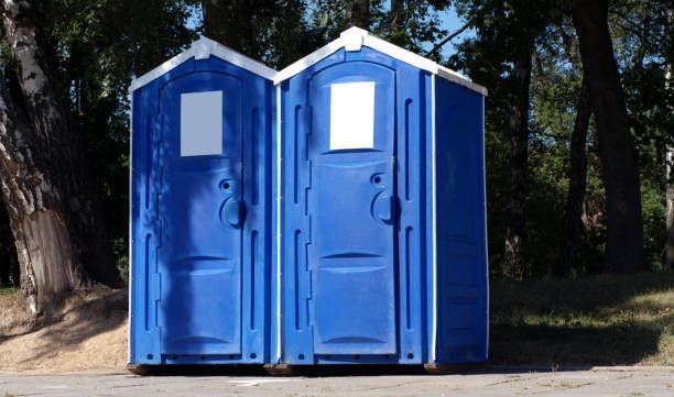 Two blue portable toilets are sitting next to each other in the woods.