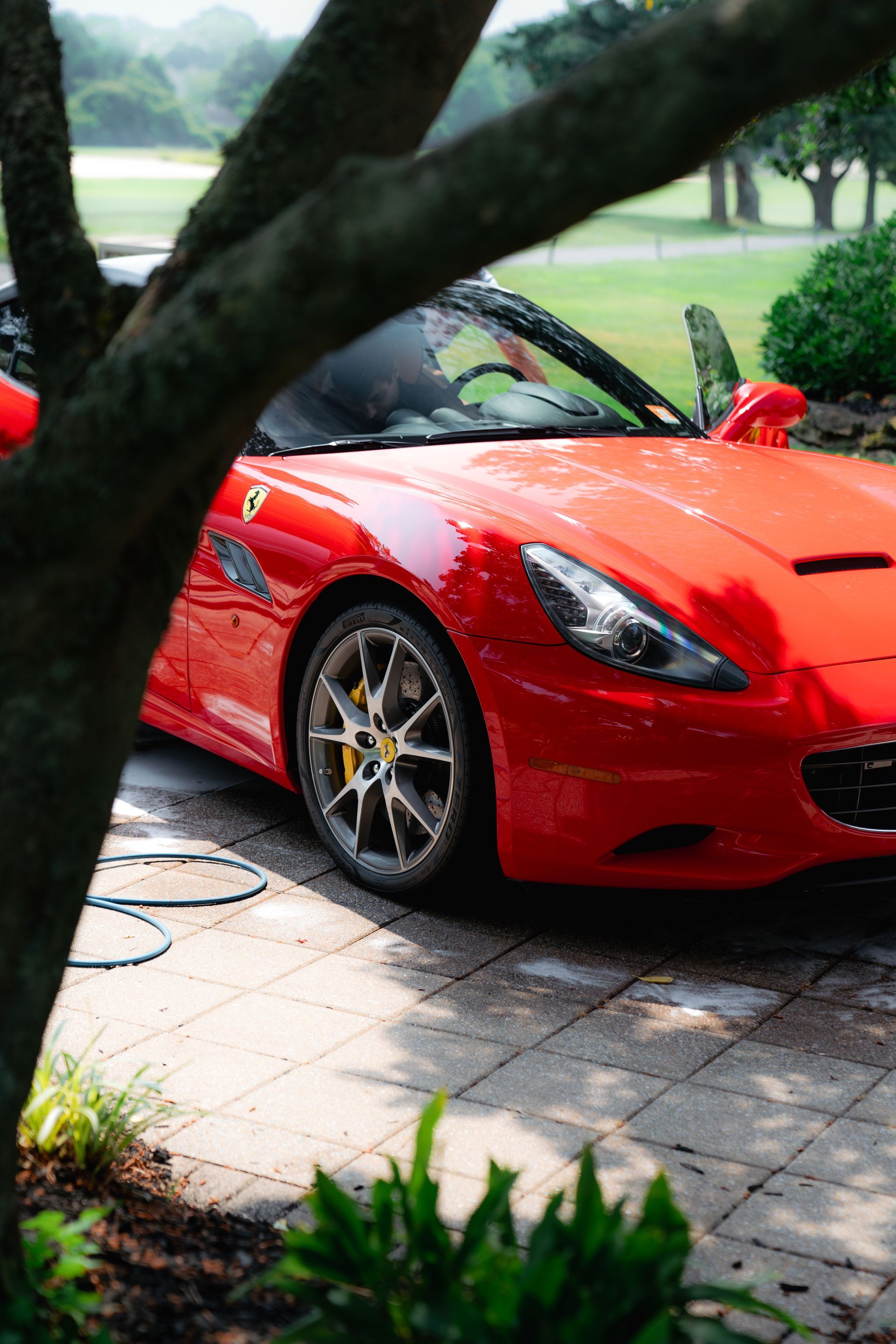 A red sports car is parked in a driveway next to a tree.