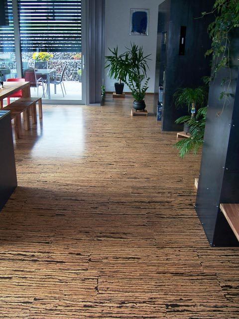 A living room with a wooden floor and potted plants.