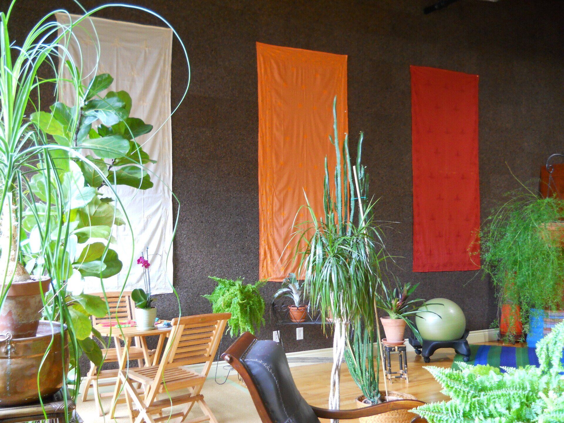 Une pièce remplie de nombreuses plantes et chaises