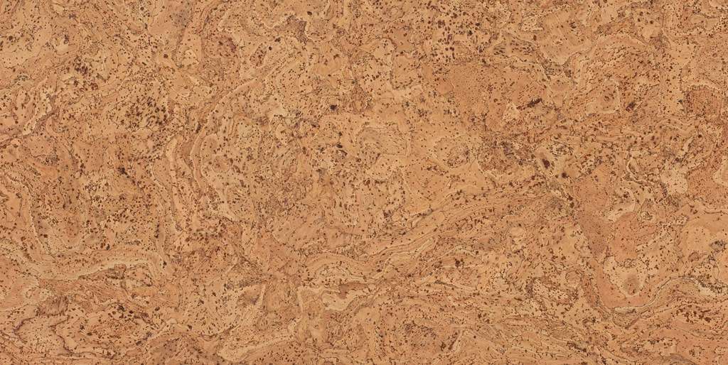 Un gros plan d'un morceau de liège avec une texture granuleuse.