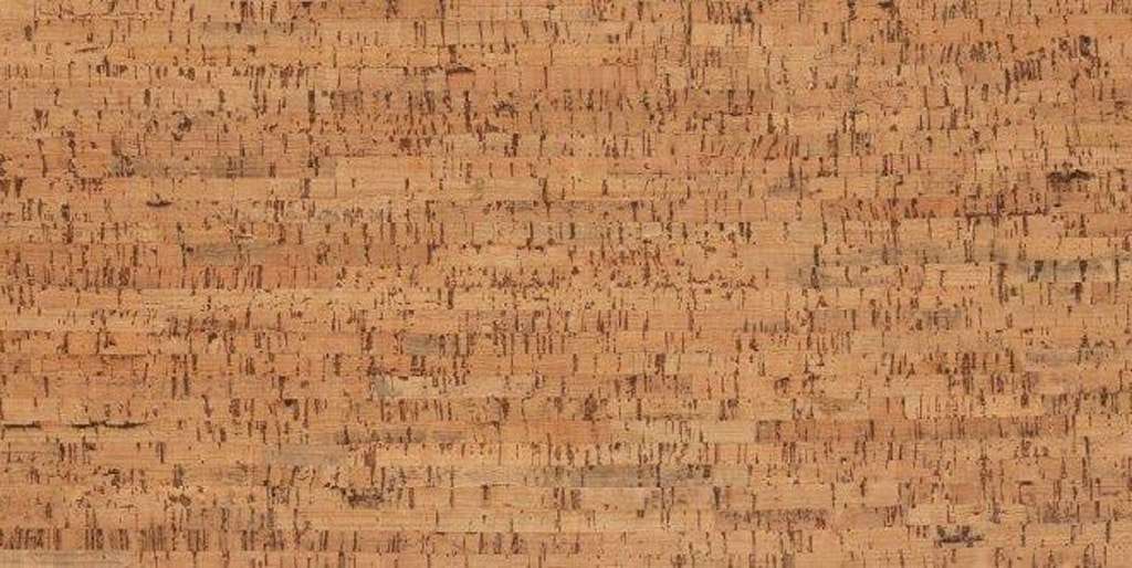Un gros plan d'un morceau de bois avec une texture granuleuse.