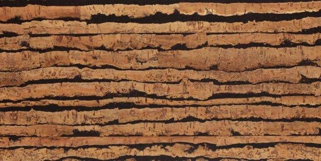 Un gros plan d'un morceau de bois avec un motif rayé