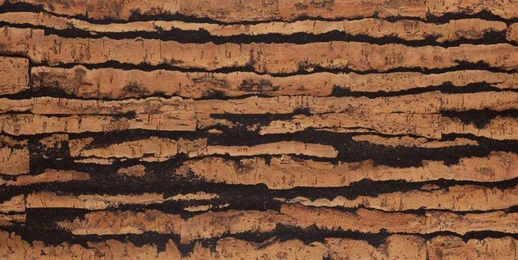 Un gros plan d'un morceau de bois avec des rayures noires