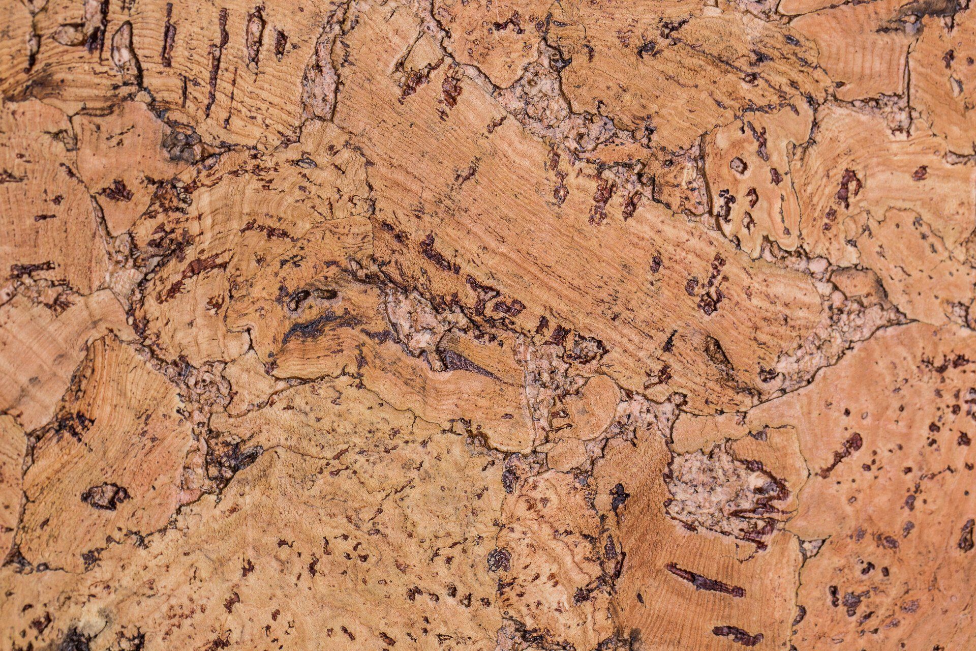 A close up of a piece of cork that looks like marble.