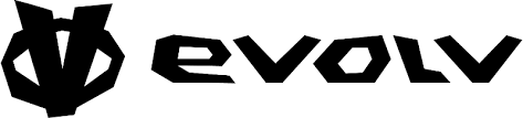 evolv logo in black
