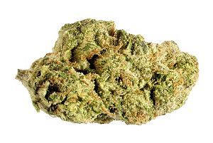 Bleuh Cannabis Blanh Indica
