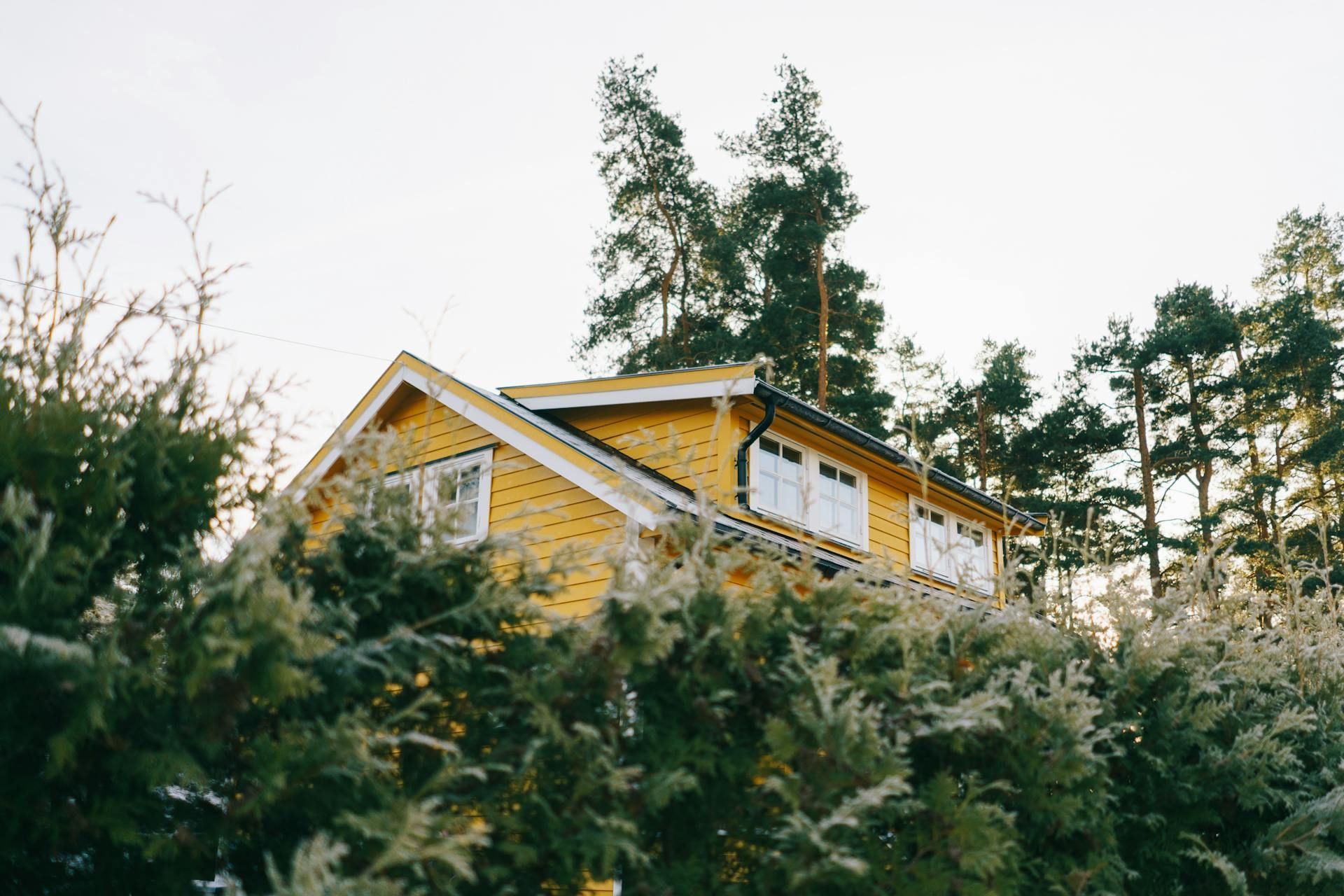 Yellow house surrounded by evergreen trees on a sunny day.