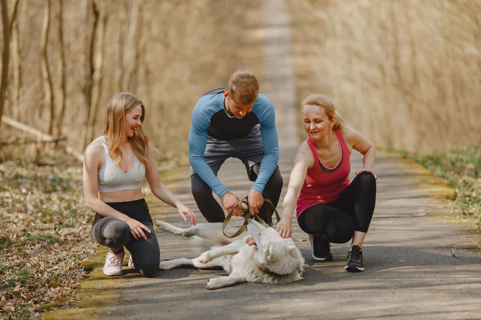 Three people pet a dog lying on a paved path in a forest.
