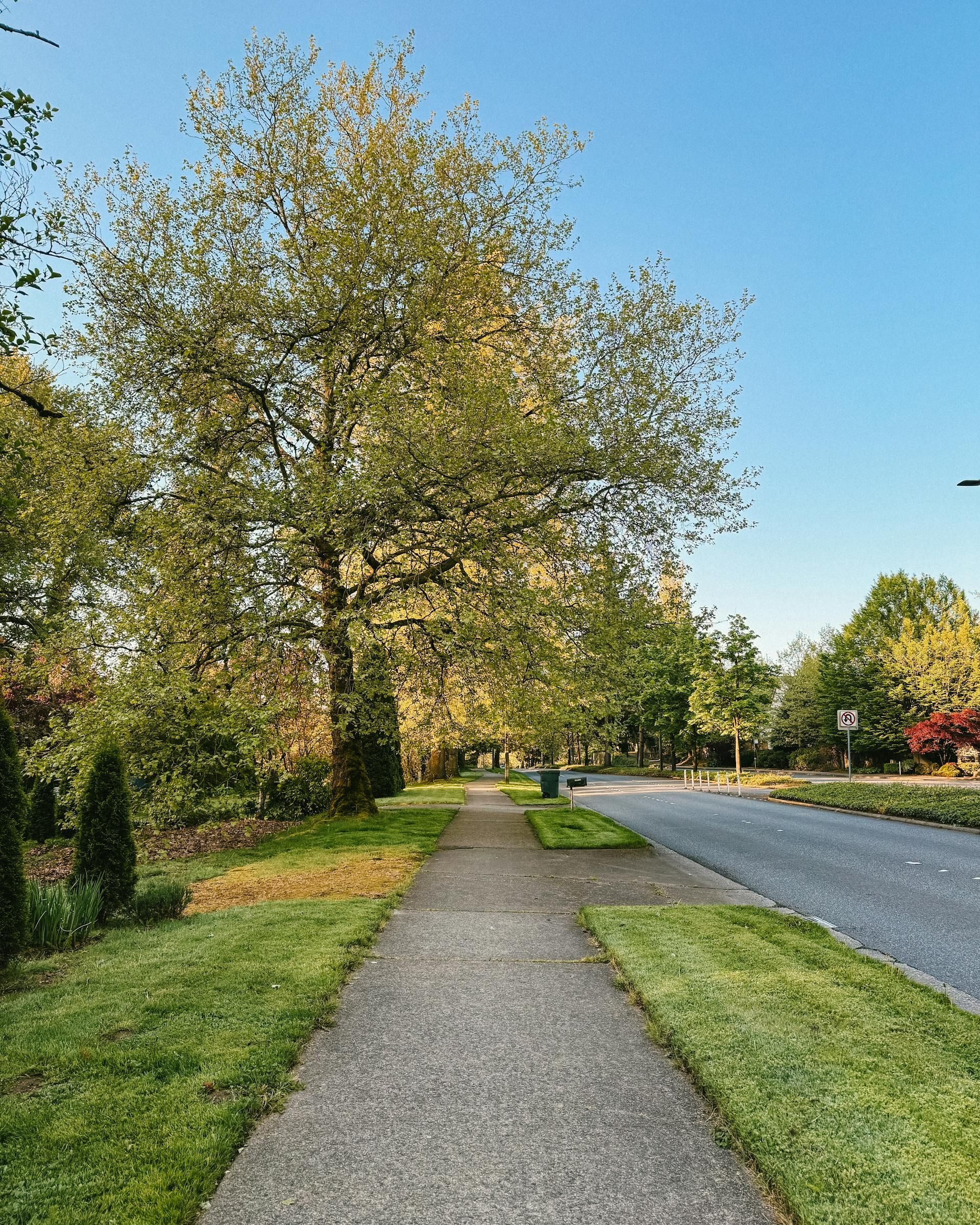 Paved sidewalk alongside a road, bordered by grass and trees under a clear blue sky.