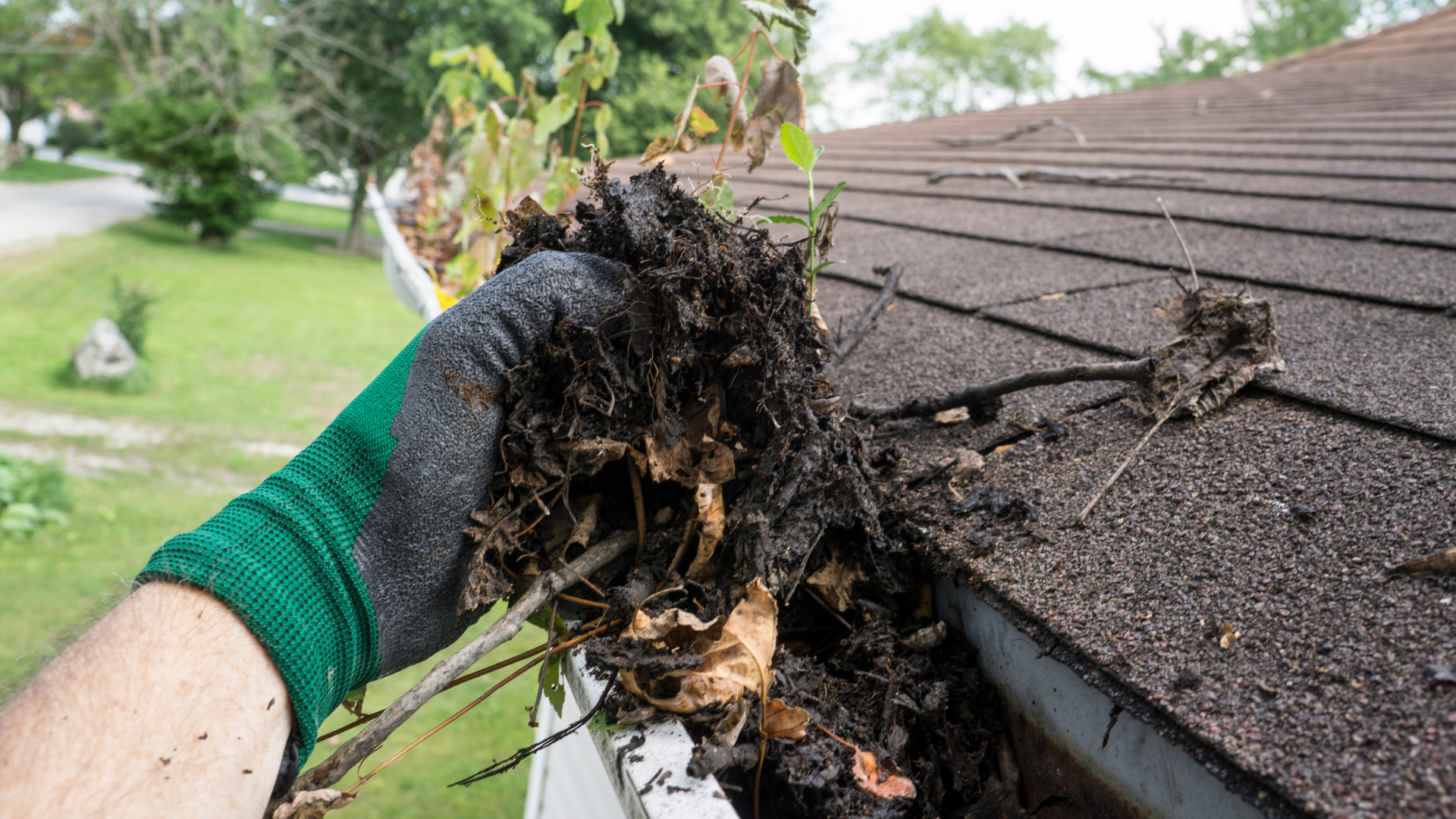 Gloved hand holding debris from a gutter filled with leaves and twigs on a rooftop.