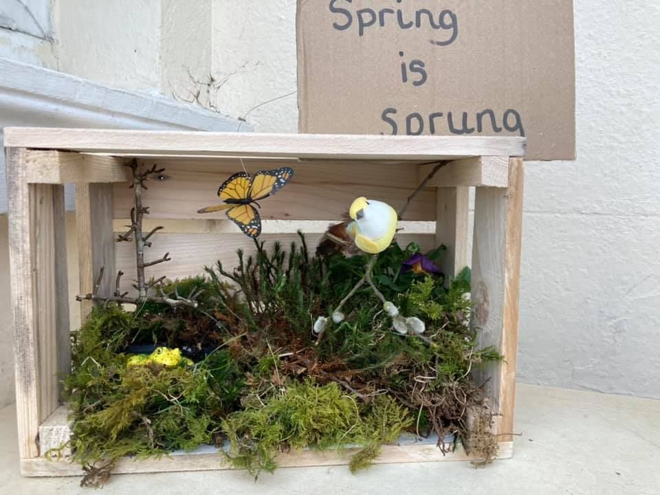 A wooden box with a sign that says spring is sprung