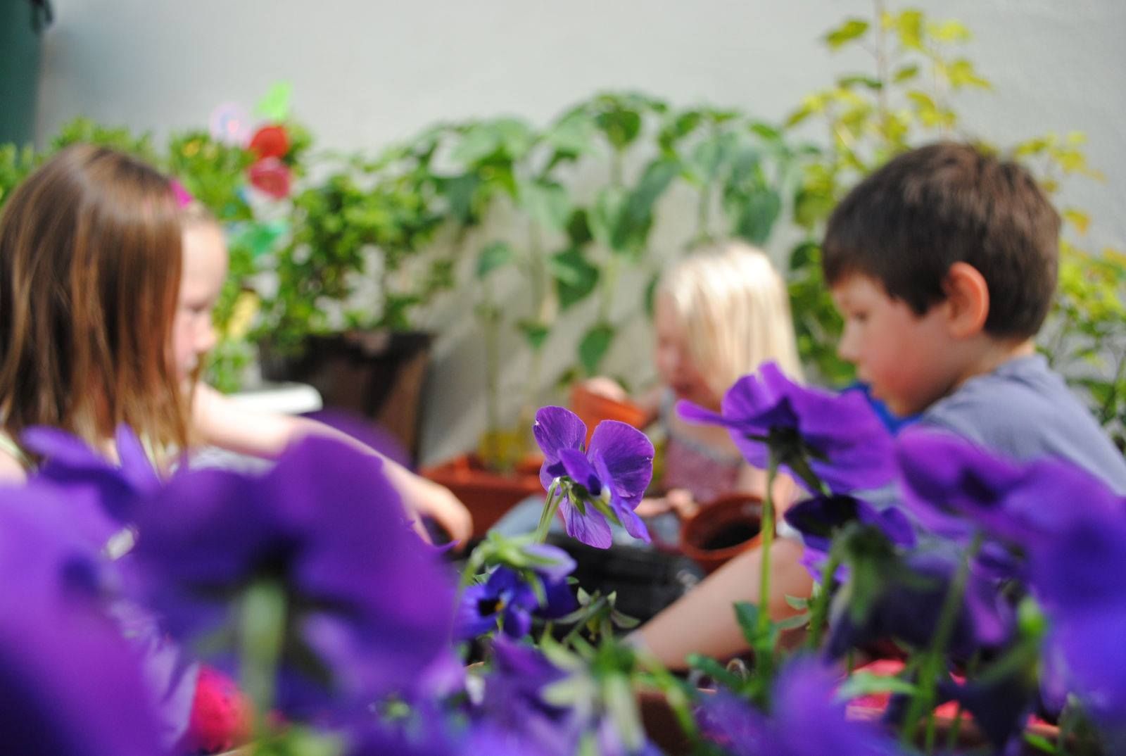 A boy and two girls are playing with purple flowers