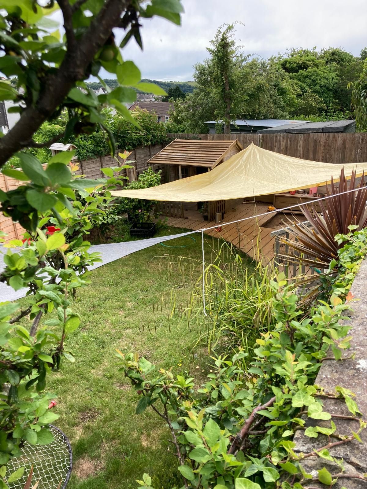 A lush green garden with a tent in the middle of it