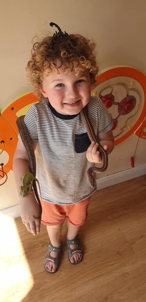 A young boy with curly hair is holding a snake in his hand.