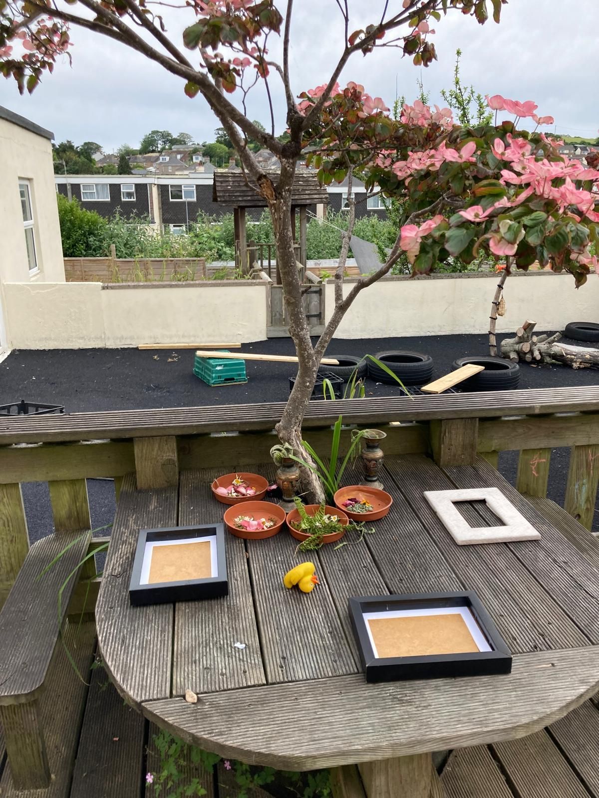 A wooden table with frames on it and a tree in the background