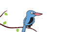 A blue bird is sitting on a tree branch.