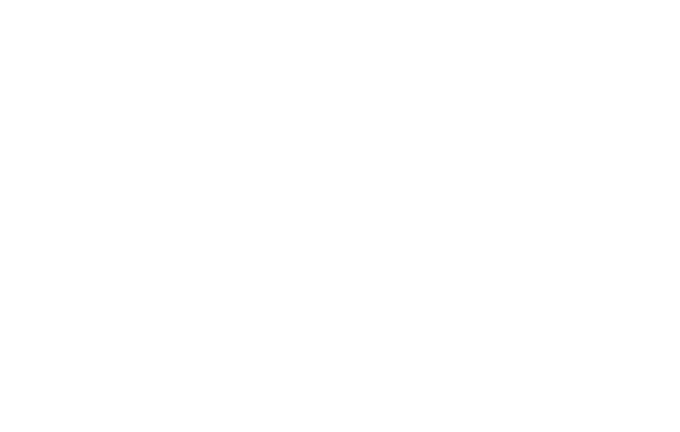 Veyron Hotel Spa İstanbul, Logo