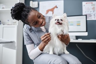 A female veterinarian is holding a small white dog in her lap.