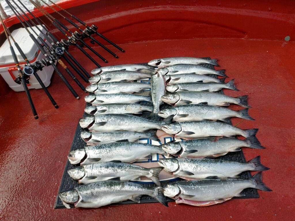 A bunch of fish are sitting on a table next to fishing rods.