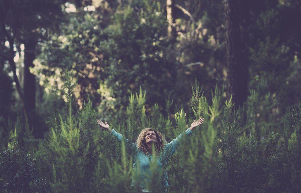 Compromisso ambiental Hotéis Deville