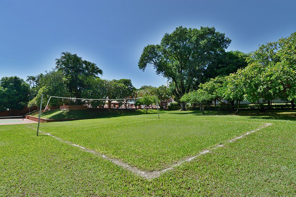 quadra de vôlei na grama