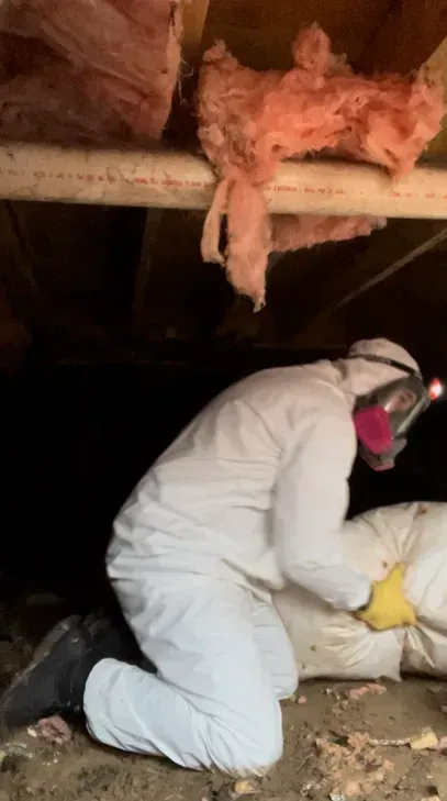 A man in a protective suit is kneeling down in an attic.