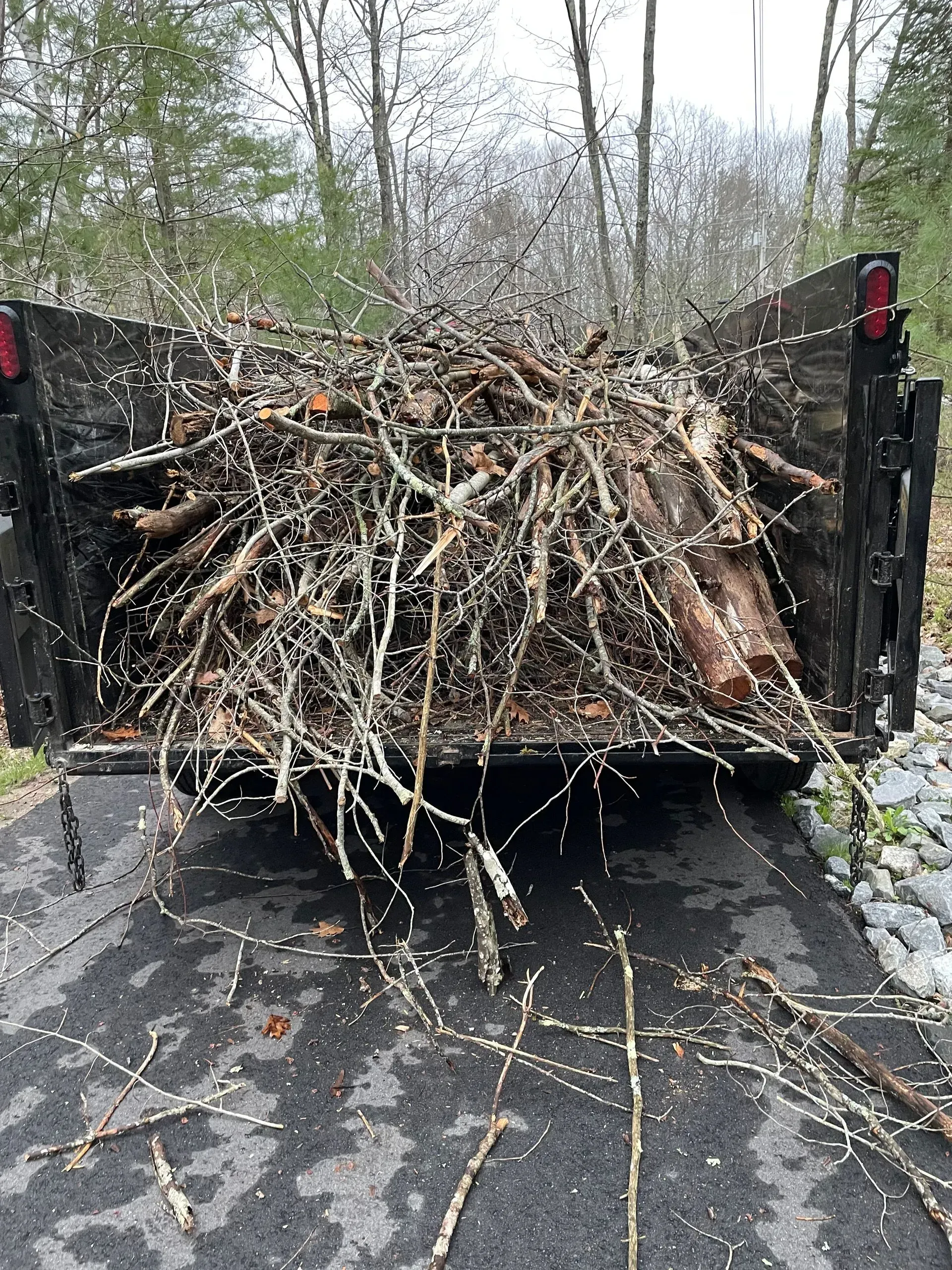 A dumpster filled with branches is parked on the side of the road.