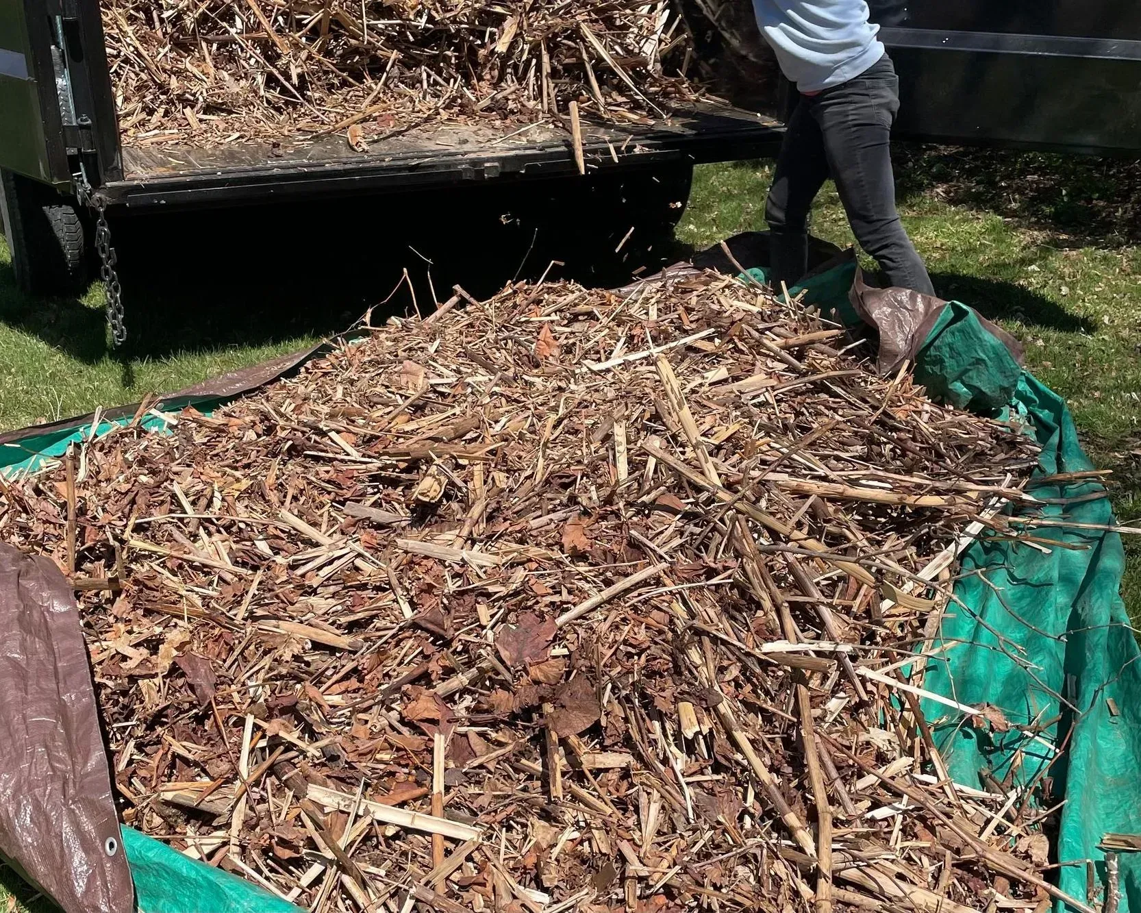 A pile of wood chips is sitting on top of a green tarp.