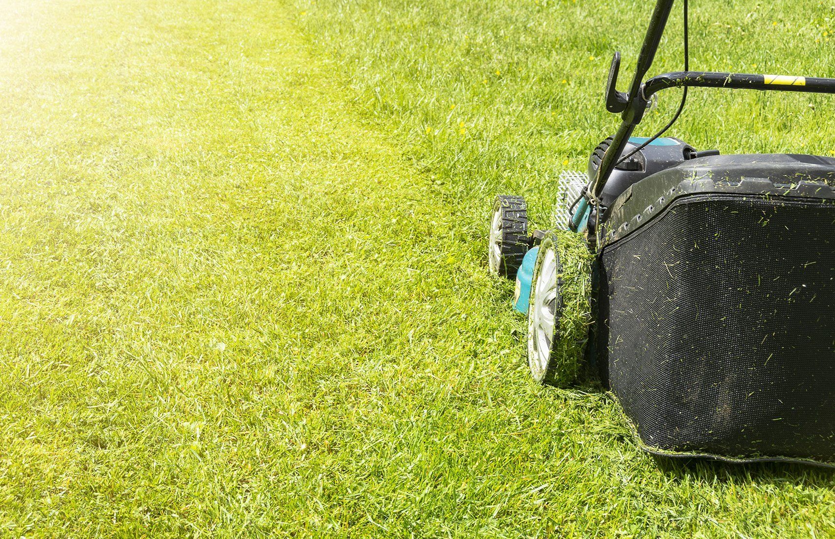 lawn mower