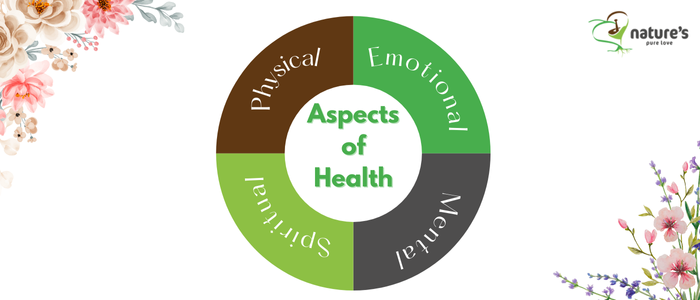 The holistic health wheel represents the balance between physical, emotional, mental, and spiritual well-being.