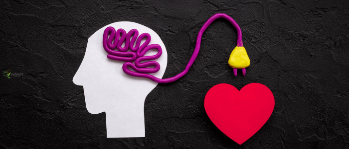 Visual representation of the brain-heart connection, illustrating how emotions and thoughts impact physical health