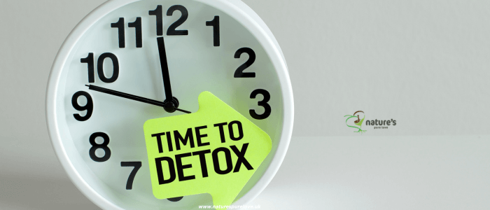 A wall clock stating that its time to detox